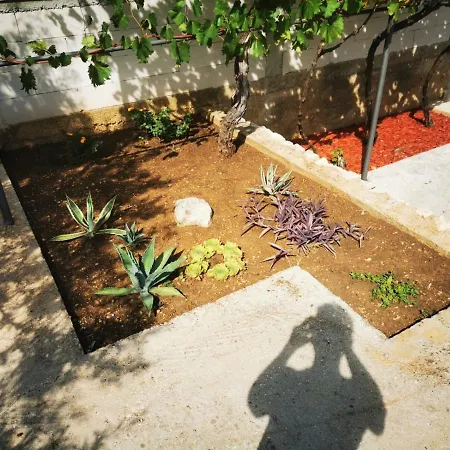 House Roko * روغوزنيكا